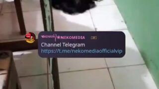 Abg Smp Viral Terbaru 2025 Ketagihan Dengan Paha Slebew New Top Trending Viral Wikwik